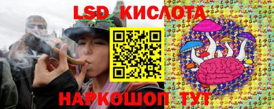 молекула духа Будённовск