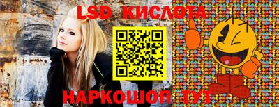 apvp Бузулук