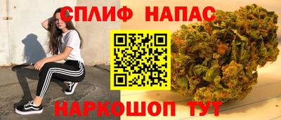 молекула духа Будённовск
