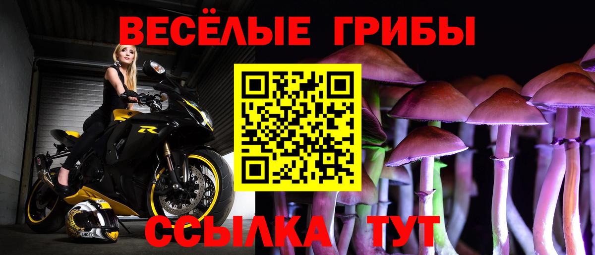 Псилоцибиновые грибы Magic Shrooms Усть-Илимск
